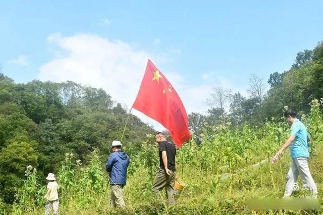 岩壁|探秘鬼斧神工的汉中“大屋基”地缝峡谷，秦巴深处的地质奇观