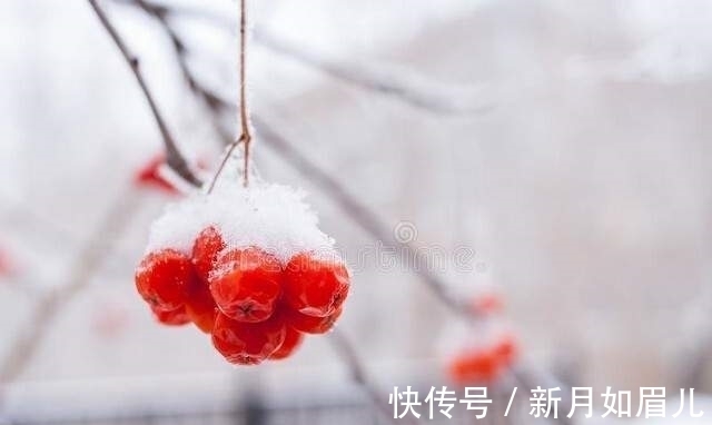 冬天&散文,浅墨初冬,霜露浓