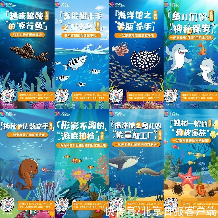 饲养员|北京海洋馆解锁新玩法，迎接放假的孩子