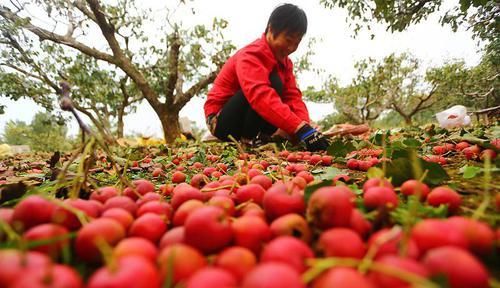 吃药|血脂高了不用慌,除了吃药,这6种食物或许也能帮你“抑制”血脂