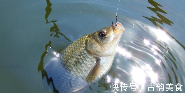 冬钓时，这三个位置不宜考虑，莫不信，老司机们都晓得，不学亏了