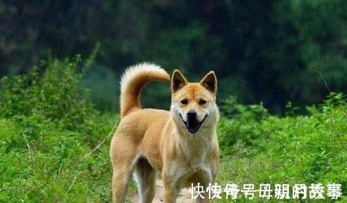 春秋|俗话说,有福之人春秋生,无福之人夏冬生,你听说过吗