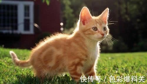 |幽默笑话:同桌做着做着卷子睡着了,在睡梦中放了一个响屁