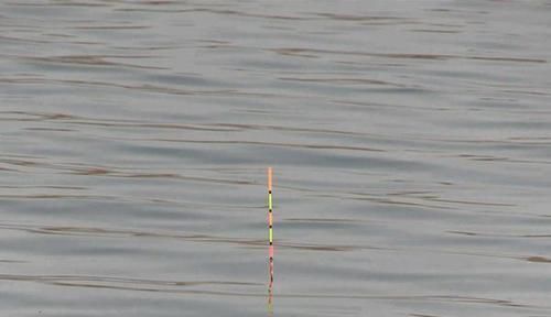 技巧|钓鱼技巧:详解带饵调漂,公认最科学的调漂方法,没有之一!