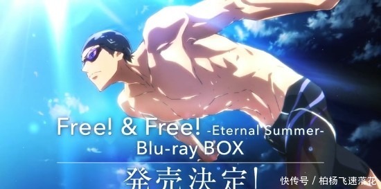 新作|京阿尼《Free！》新作剧场版PV公开 2021年上映