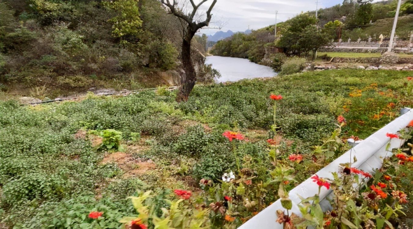 北京农业|探寻京郊大庄科：香草香、山楂红、慈孝文化更盛行