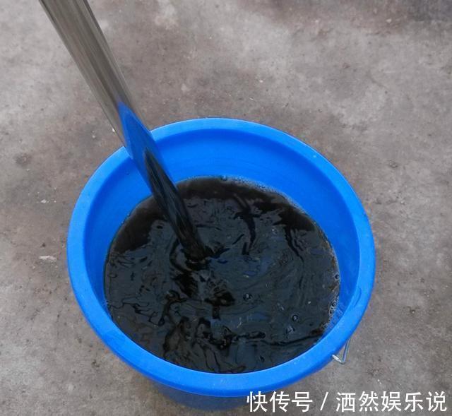 草木灰|不花钱的“肥料”遍地都是,捡回家养花,花盆抓一把,砰砰开爆盆
