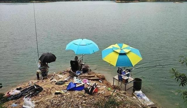 浮漂出不来顿口,但提竿总锚鱼?建议你这样调整,效果立竿见影!