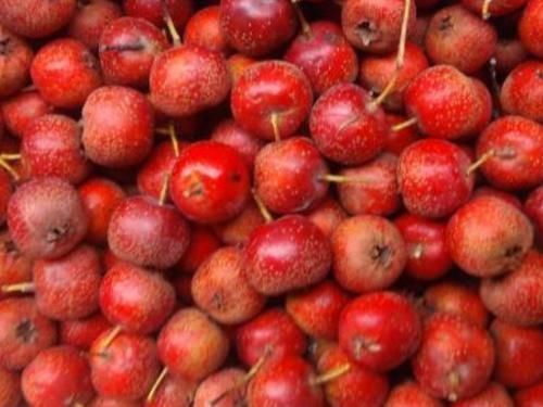 食物|糖尿病“害怕”的4种食物,再穷也要经常吃,或使血糖悄悄降下来