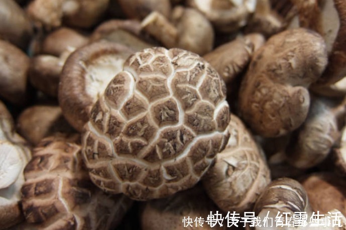 都是干香菇，“花菇”“冬菇”有啥不同？区别太大了，不懂别乱买