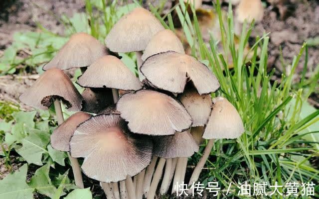 桃花运|8月上旬喜事登门，中奖发横财，桃花运很好