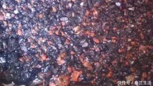 家中的花总是“烂根”养不活盆里加四样东西,根旺花不断