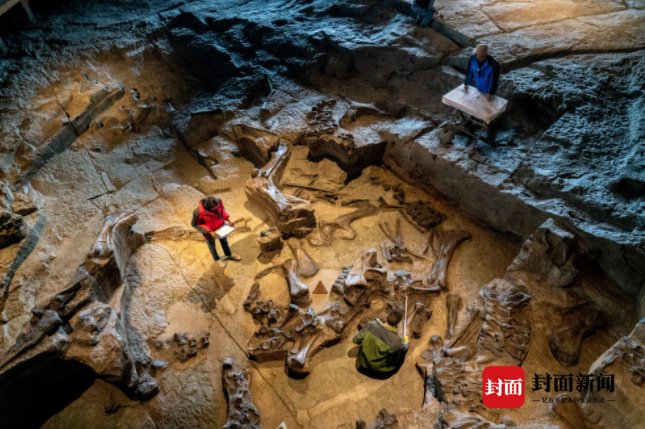 巴蜀文化旅游走廊“百城行”走进自贡：川渝媒体拍客打卡“盐龙灯食”|百城行 | 走廊