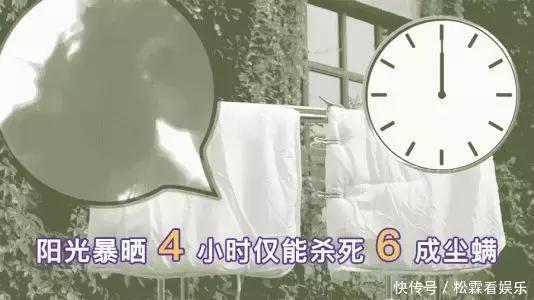 枕芯|旧筷子、旧毛巾、旧枕芯、旧沙发罩...到底有多可怕!