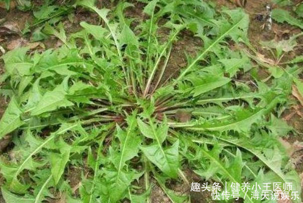 立春以后,多吃3種食物,淡斑排毒,改善睡眠質(zhì)量,人顯年輕