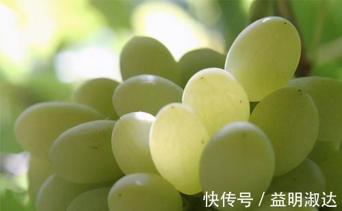 常吃|长寿老人告诉你，女性常吃3种食物，排毒清肠，早吃早受益