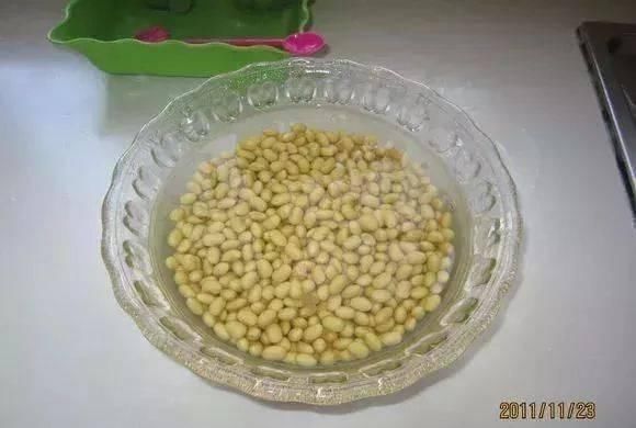 做芽苗菜|家里的塑料油桶别扔,有3个“妙用”,种菜效率高,扦插生根快