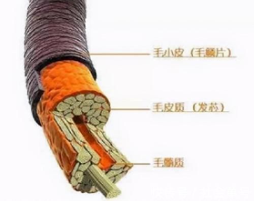 吹风机|洗完头总感觉，头发一把一把地掉，其中的原因究竟是什么？