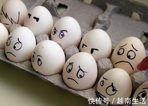 笨鸡蛋|每天吃一个鸡蛋,有助于养生?可能并不是,这4个误区,尽量避开