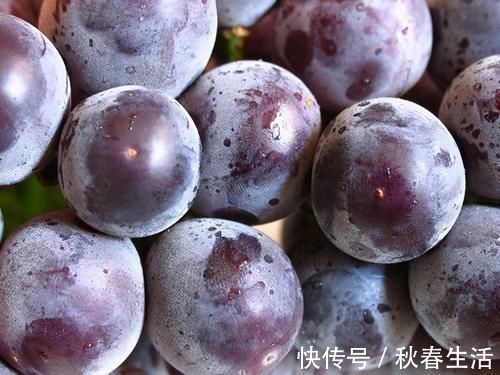 效果|4大抗衰老效果明显的水果,建议爱美的人经常吃,帮你挽留青春