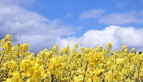  境界|从《西游记》中，看透人生的三重境界