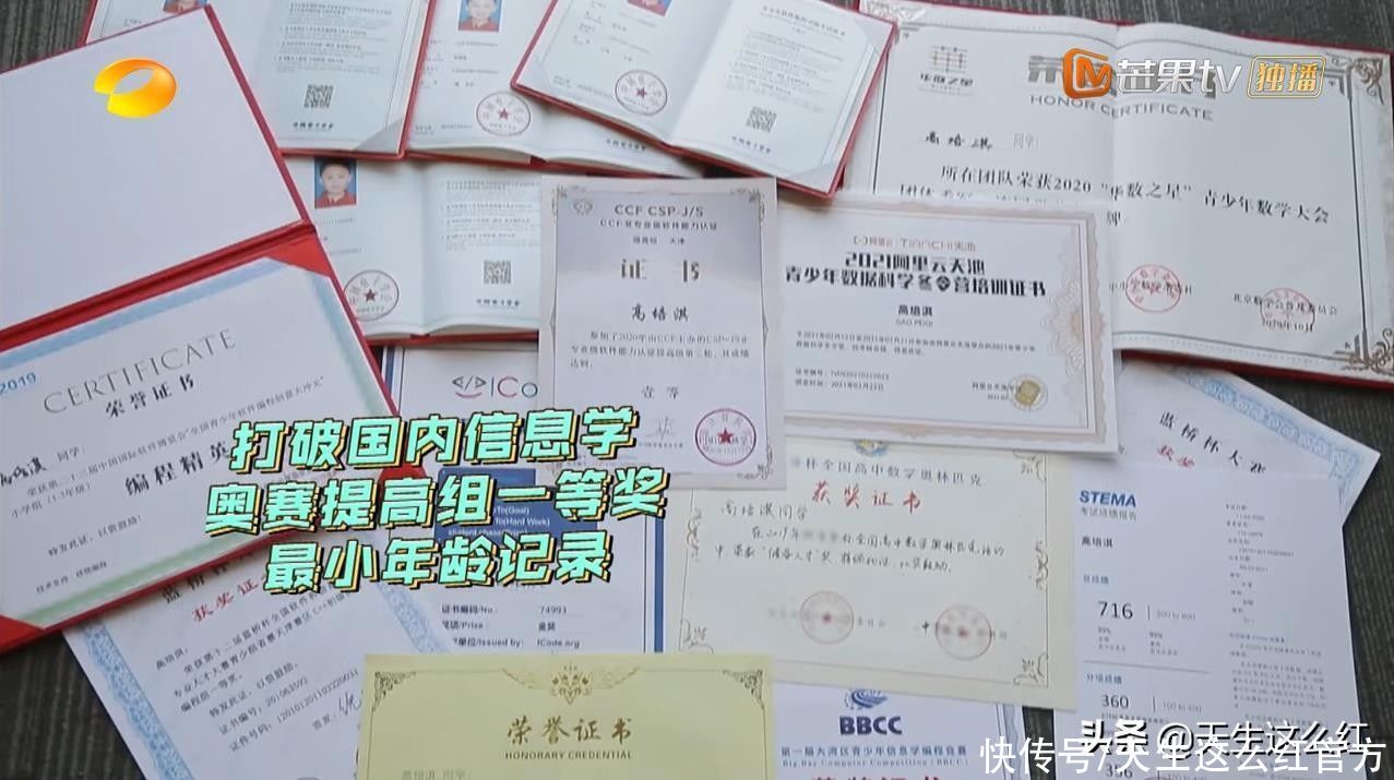 七岁学完高中数学的天才少年，不会穿鞋带，有问题吗？