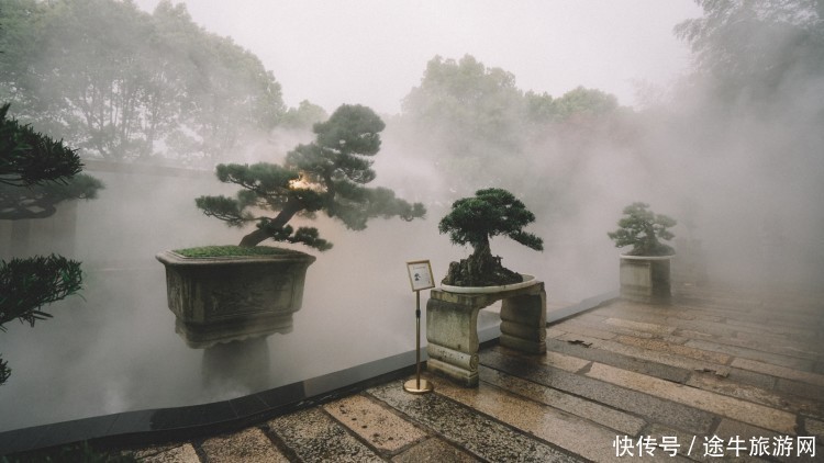 盘龙大观园，花都开好了，你怎么还不来？