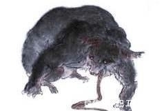 蝮虫&山海经:有多少神奇的虫子,能吃吗?为何人也算也是虫子的一种?