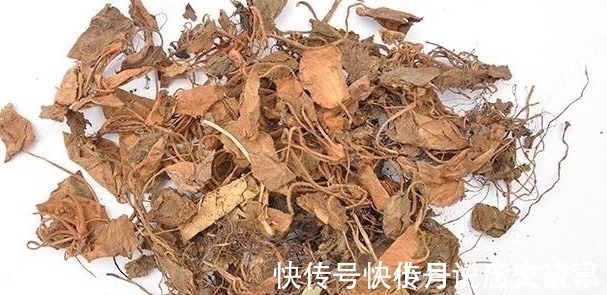 农村|农村一种长在阴湿地方的野草,很多农民不认识,晒干后40块一斤
