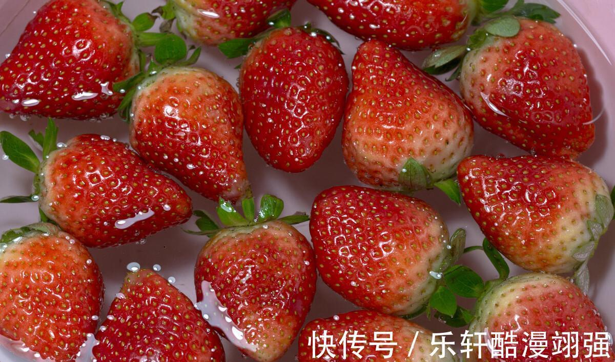 果实|这6种果实晒干后,比新鲜的好吃,嚼劲十足有韧性,当小零食解馋