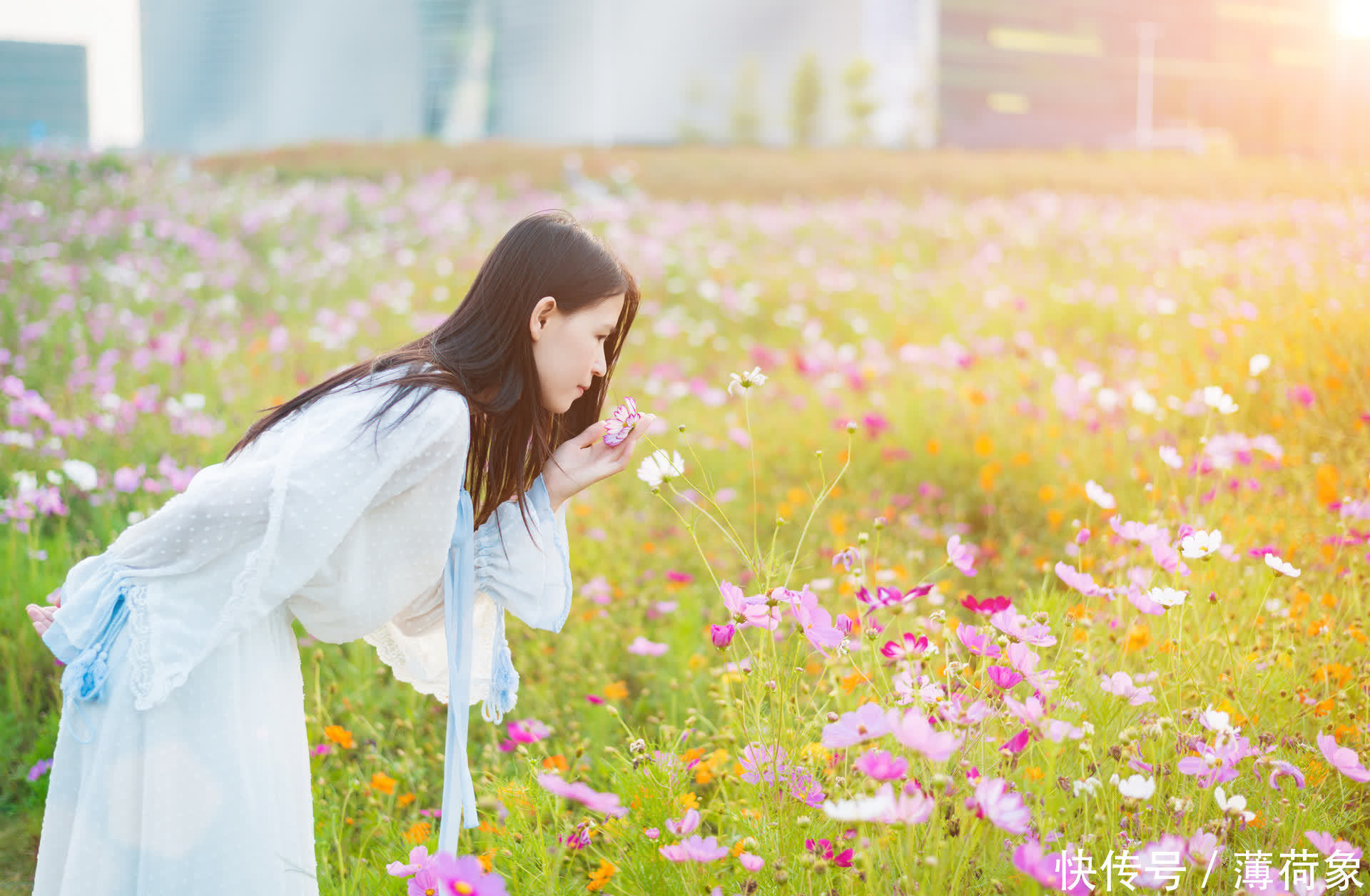 有幸与你相识，赠我半生欢喜