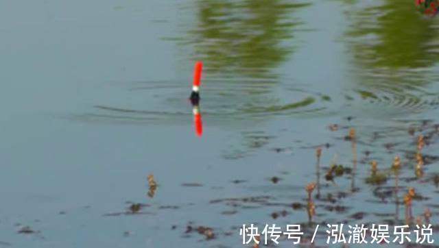 蚯蚓|6种蚯蚓穿鱼钩方法,图解蚯蚓挂钩法,爱钓鱼的你别错过!