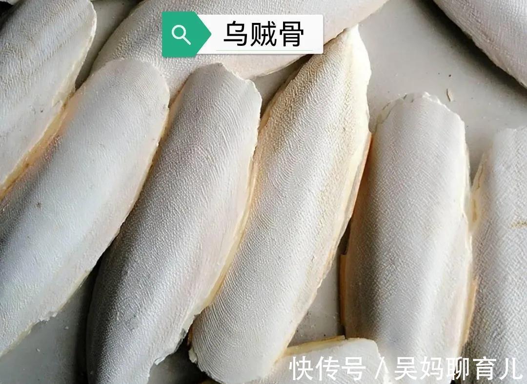 乌贼骨|中药古今研究:乌贼骨,中和胃酸、保护黏膜、抗溃疡