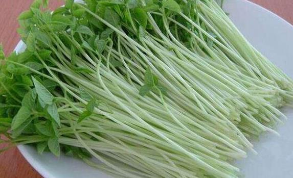 冬病夏治|夏天吃以下3大野菜,个个营养美味,平抑肝火,还补血,了解一下