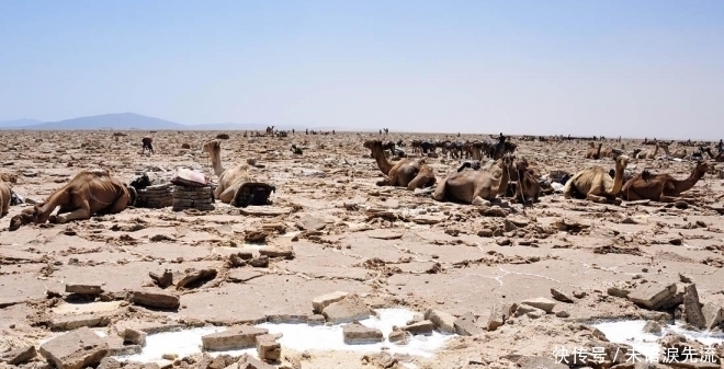 一个“人间地狱”的地方，竟有个顽强生存了3000年的非洲部落