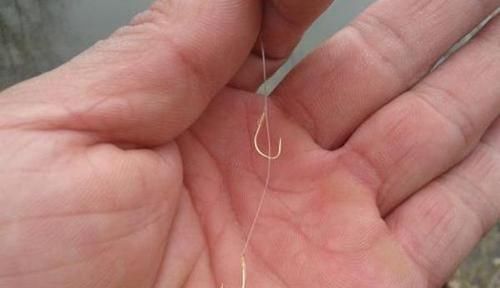 冬钓鲫鱼,钓组这么搭配就对了,子线不但要细还要长!