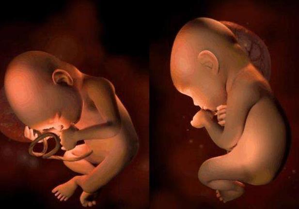 胎儿|胎儿总在夜间胎动,可不是胎儿太淘气,背后原因孕妇别大意