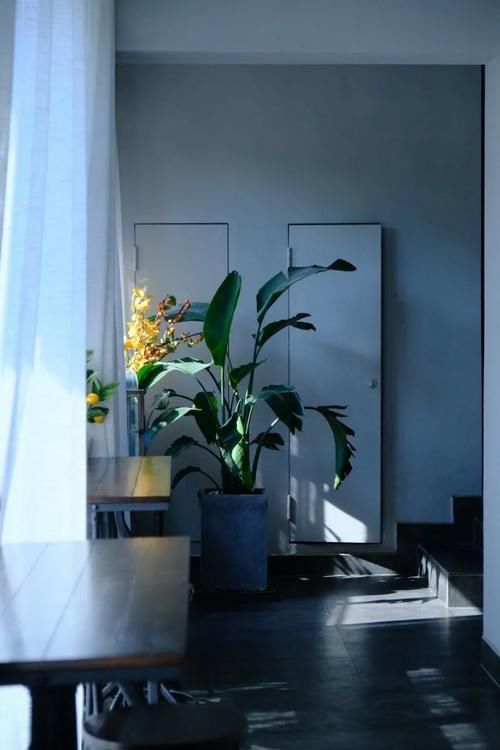 街巷|甜点店合集｜这些藏在街巷中的甜点店，是我心中的白月光