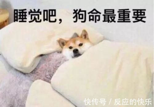 |幽默笑话：夫妻经典段子，够你笑到过年了