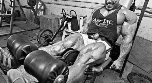 腿部|男人和女人都很难承受的腿部训练!你敢来练吗?