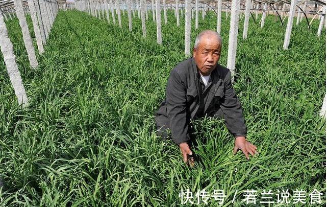 买韭菜，宽叶、窄叶要分清，二者差别大，牢记3不买，轻松买好菜