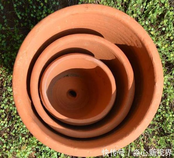 养花挑盆很关键摸清6种材质的优劣,轻松选好花草的''新家''