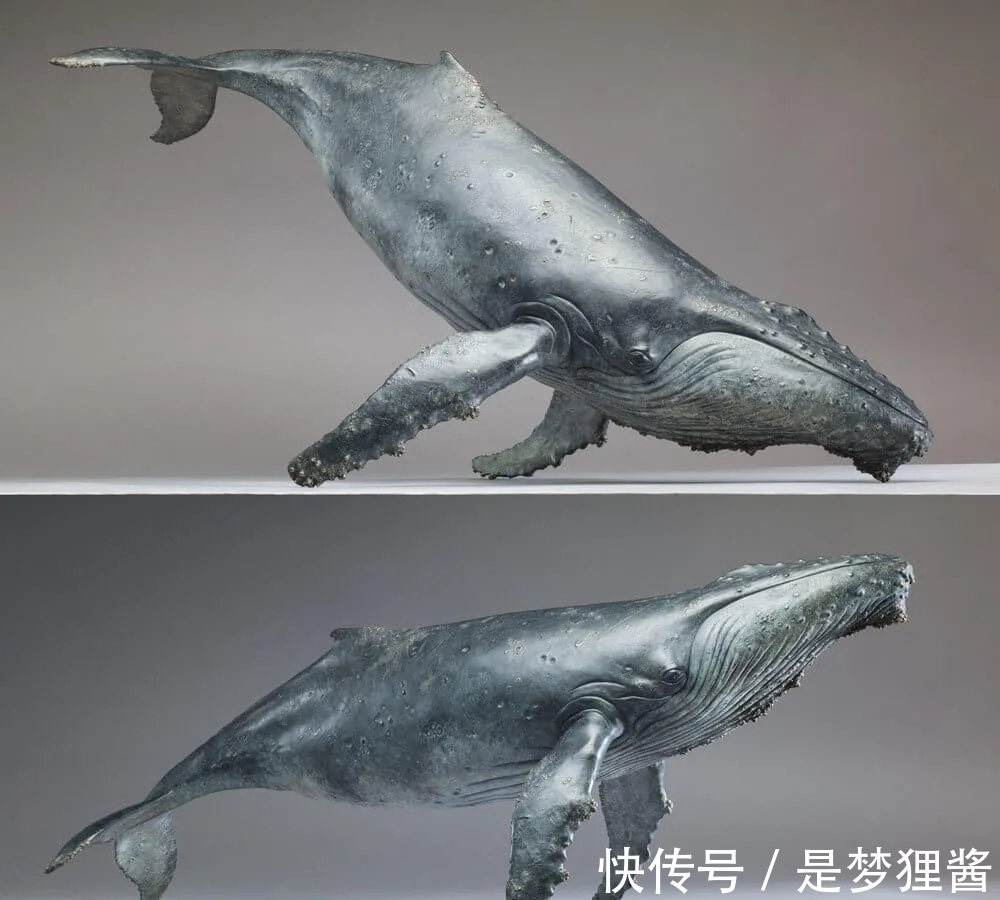 形象派!细致到肌肤纹理的动物雕塑大师