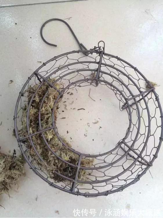 盆栽|她在医院垃圾桶“捡篮子”,拿来种多肉“颜值高”,人见人爱