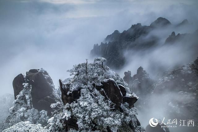 三清山|高清图：白雪“包裹”三清山 宛若童话世界