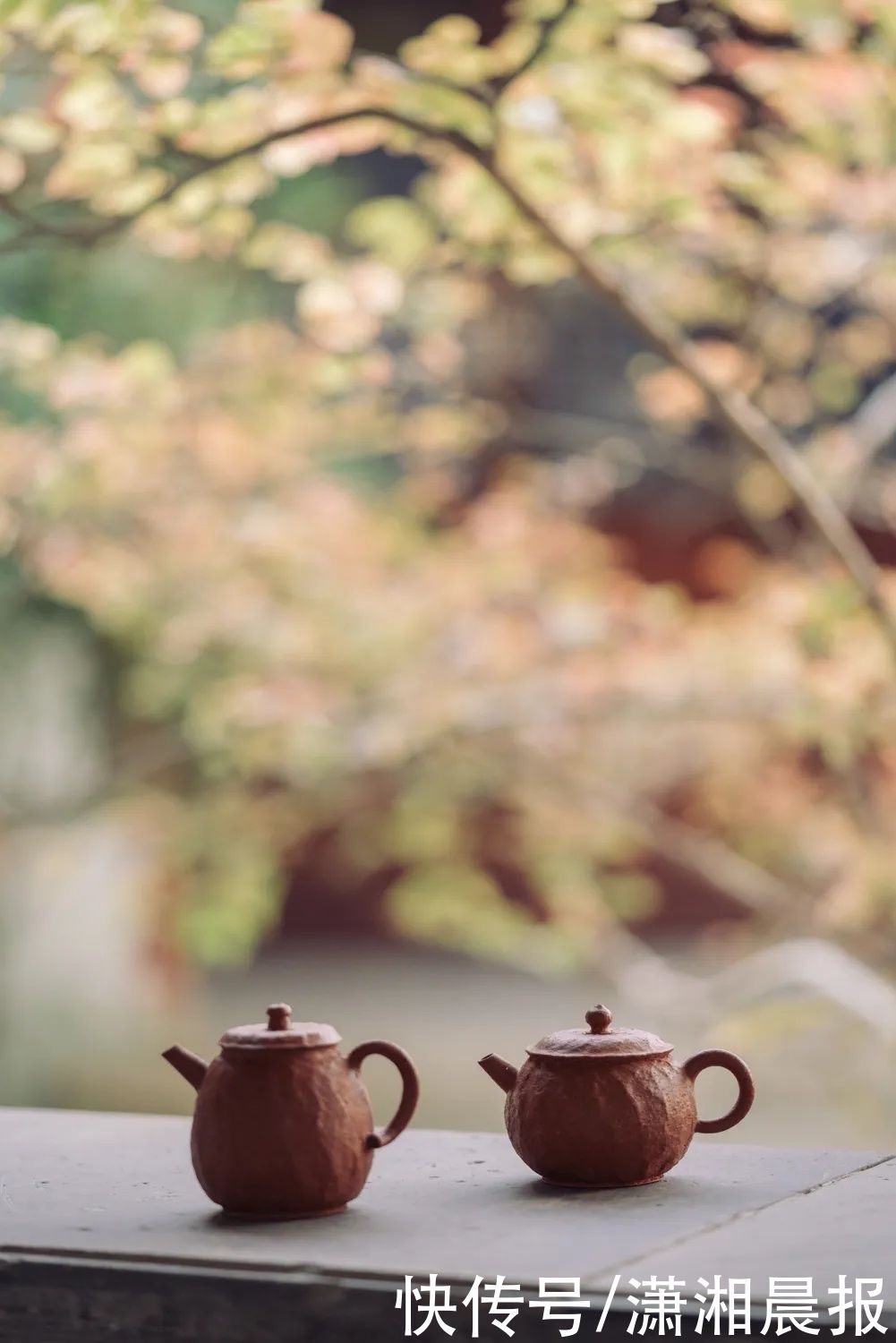  相连|回答美是什么？让我们自己作为个体与世界相连