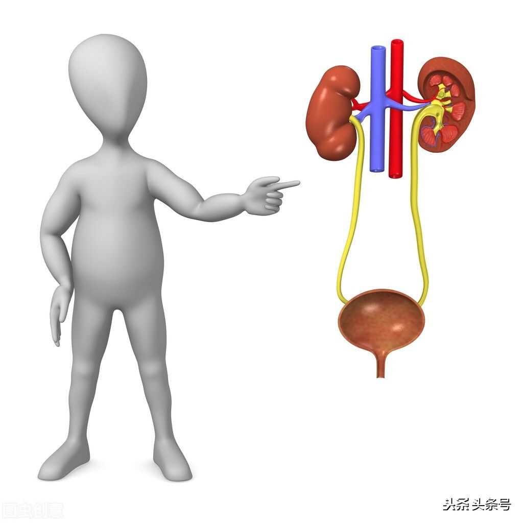 宁泌泰胶囊|2个中成药，清热解毒、利尿通淋，多角度改善尿频、尿急、尿痛