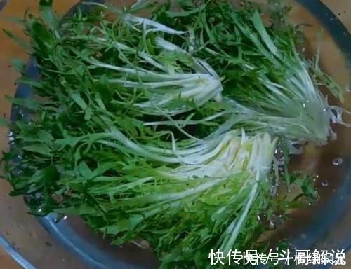 凉拌苦菊花生米|夏天，不能总吃黄瓜，还要多吃这菜，两天吃一次，不便秘一身轻