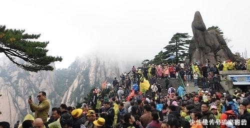 国内景点 这棵树警卫把守不让靠近拍照, 游客质疑这棵树是假的