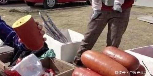 大爷摆摊卖它,远看以为是香肠,走近一瞧乐坏了,我果断买了3根